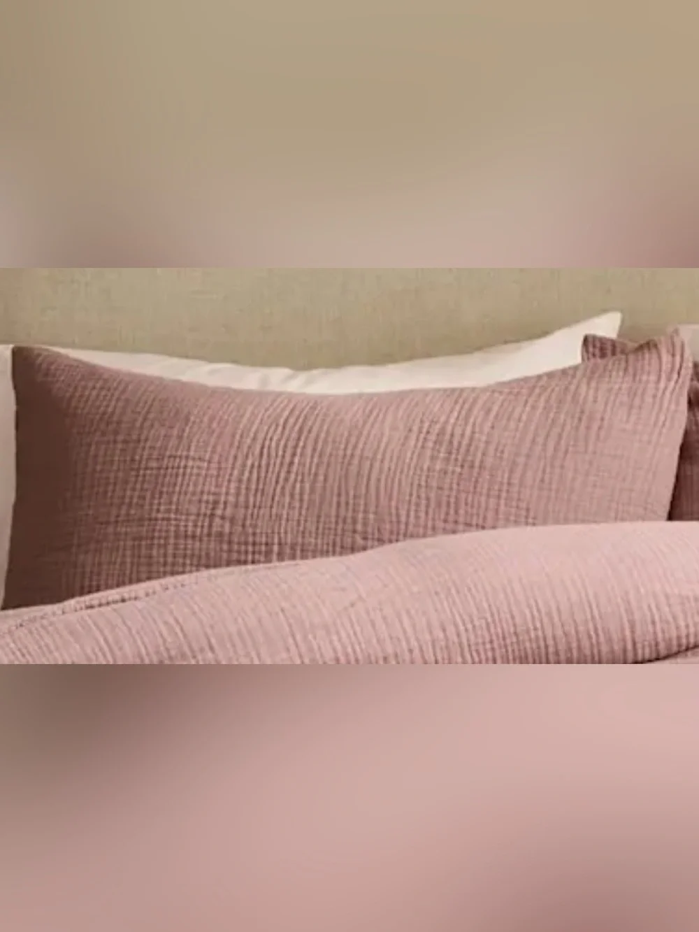NWT Quince Organic Cotton Gauze Sham Set, King  (Fig)
